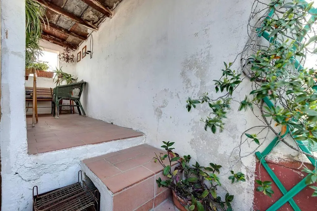 Pepi Apartment With Terrace Florence Italy